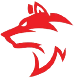 Wolf York Moto
