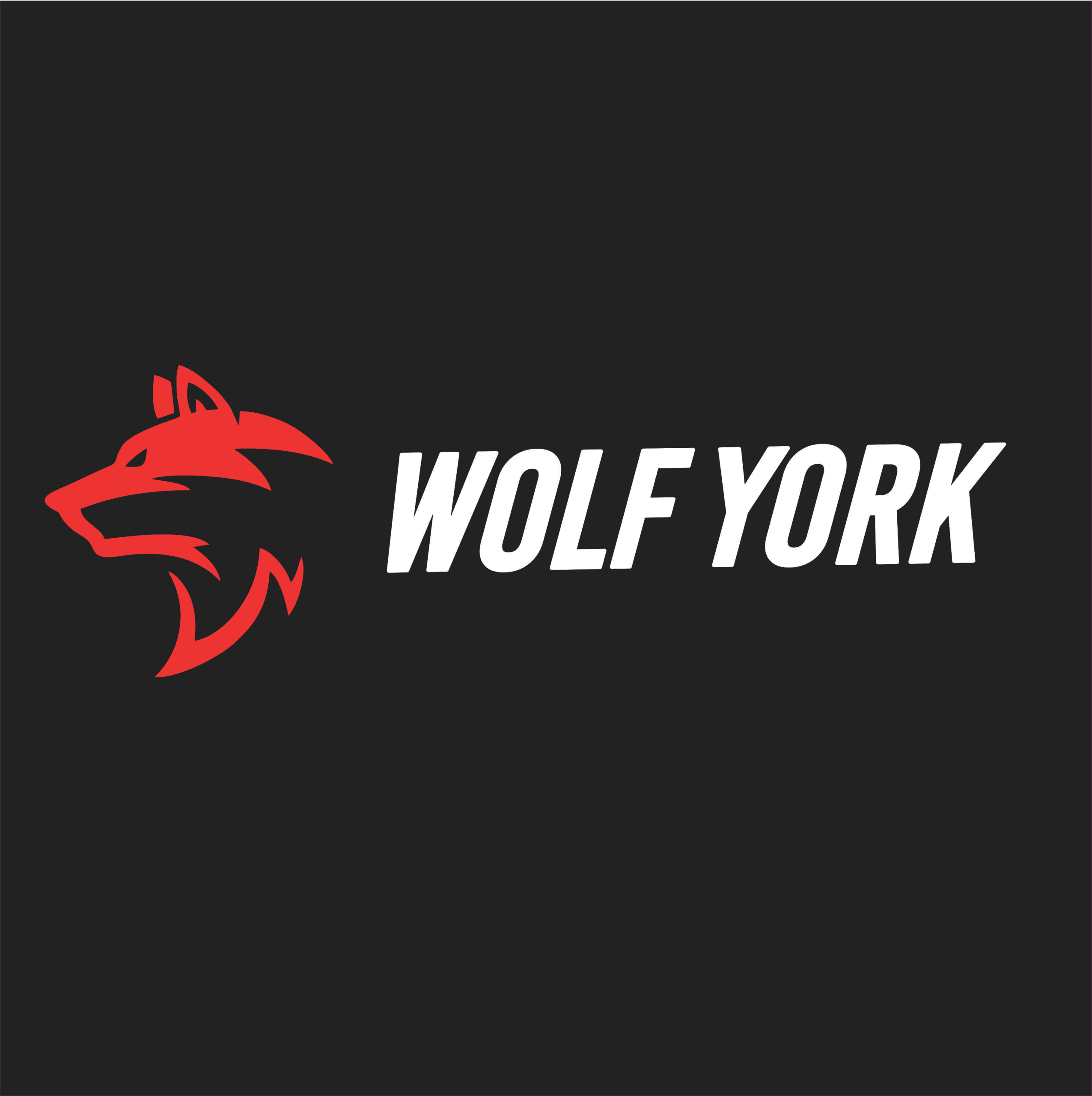 Wolf York Moto
